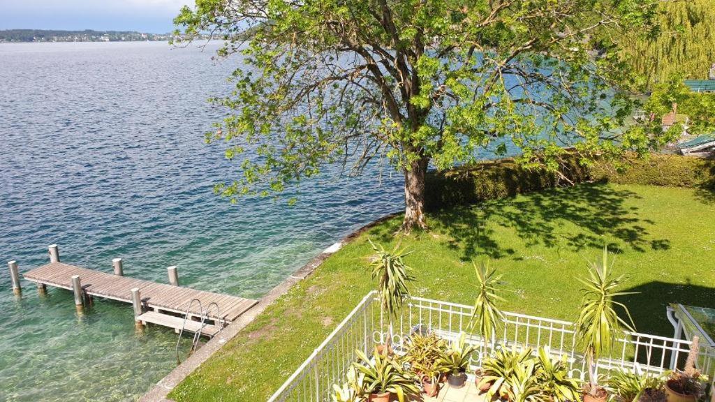 Gasthof Mit Seeterasse & Appartements Zur Landeroith Weyregg Esterno foto