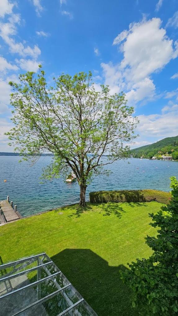 Gasthof Mit Seeterasse & Appartements Zur Landeroith Weyregg Esterno foto